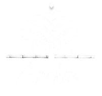 Arekas