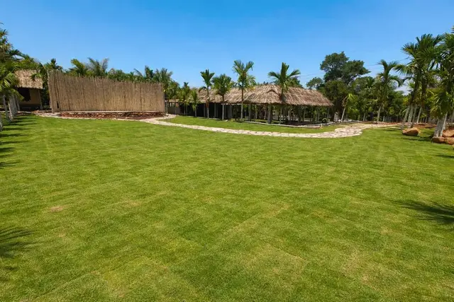 The open lawn with neat pathways